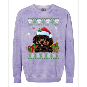 Dog Lovers Cute Poodle Santa Hat Ugly Christmas Sweater Gift Colorblast Crewneck Sweatshirt