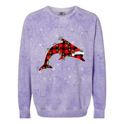 Dolphin Lover Christmas Santa Hat Cute Animals Xmas Lights Gift Colorblast Crewneck Sweatshirt