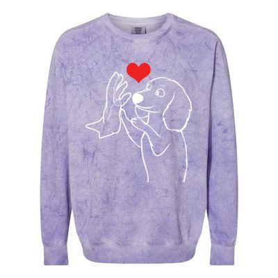 Dachshund Love Dog Owner Dachshund Lover Gift Colorblast Crewneck Sweatshirt