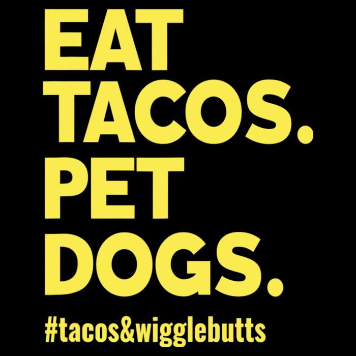 Dog Lover Eat Tacos Pet Dogs Wool Snapback Cap