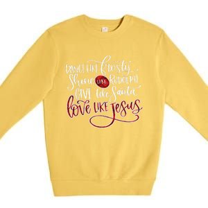 Dance Like Frosty Shine Like Rudolph Give Like Santa Love Like Jesus Christmas Premium Crewneck Sweatshirt