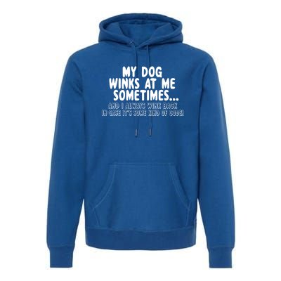 Dog Lover Funny Gift My Dog Winks At Me Sometimes Gift Premium Hoodie