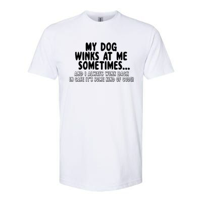 Dog Lover Funny Gift My Dog Winks At Me Sometimes Gift Softstyle CVC T-Shirt