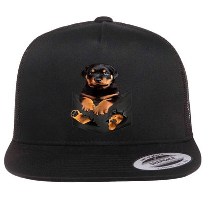 Dog Lovers Funny Gift Rottweiler In Pocket Funny Dog Rottweiler Funny Gift Flatbill Hat