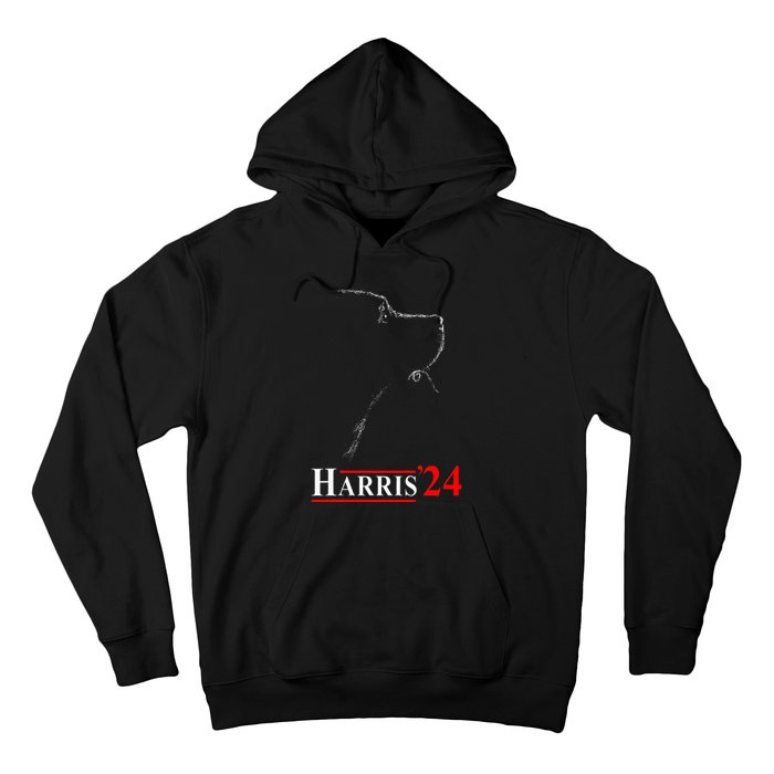 Dog Ladies For Kamala Funny Dog 2024 President Kamala Harris Hoodie