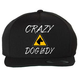 Dog Lover Funny Crazy Dog Lady Wool Snapback Cap