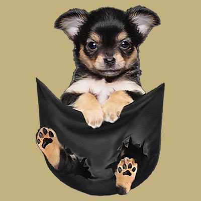 Dog Lovers Gifts Chihuahua In Pocket Funny Dog Face T-Shirt