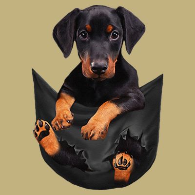 Dog Lovers Gifts Doberman In Pocket Funny Dog Face T-Shirt