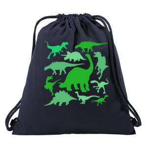 Dinosaur Lover Gift Drawstring Bag