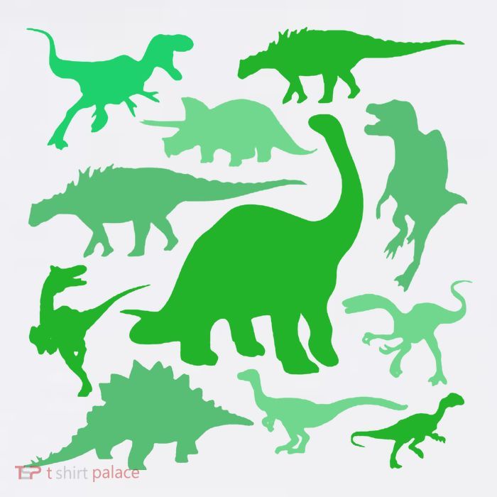 Dinosaur Lover Gift Flatbill Hat