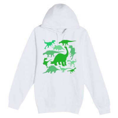 Dinosaur Lover Gift Premium Pullover Hoodie