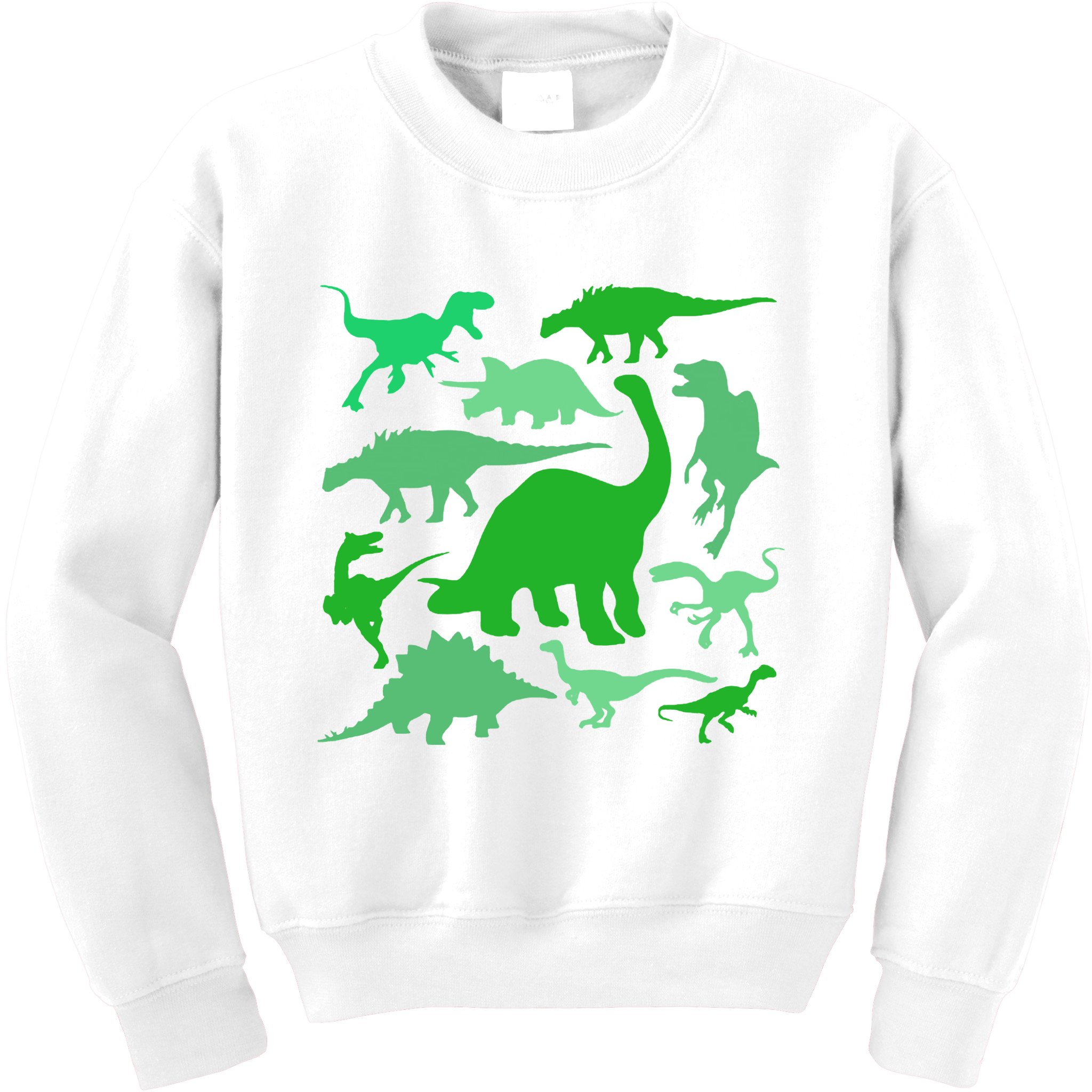 Dinosaur Lover Gift Kids Sweatshirt
