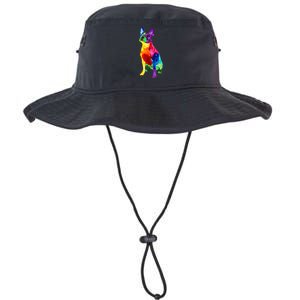 Dog Lover Gifts Boston Terrier Dog Colorful Boston Terrier Legacy Cool Fit Booney Bucket Hat