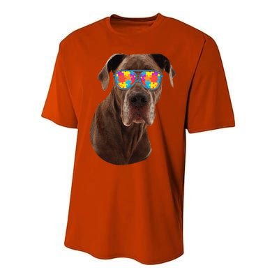 Dog Lover Gifts Funny Autism Awareness Dane Performance Sprint T-Shirt