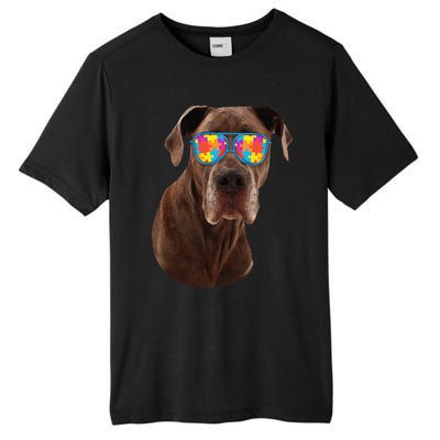 Dog Lover Gifts Funny Autism Awareness Dane Tall Fusion ChromaSoft Performance T-Shirt