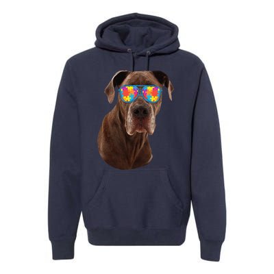 Dog Lover Gifts Funny Autism Awareness Dane Premium Hoodie