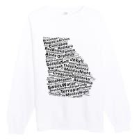 Drink Local Georgia Breweries Premium Crewneck Sweatshirt