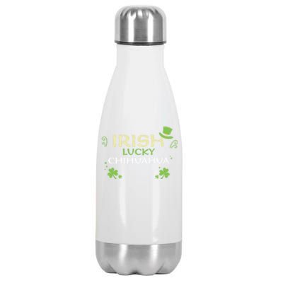 Dog Lover: Irish Lucky Chihuahua Gift St Patrick's Day Gift Stainless Steel Insulated Water Bottle