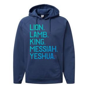 Distressed Lion Lamb King Messiah Yeshua Christian Bible Gift Performance Fleece Hoodie