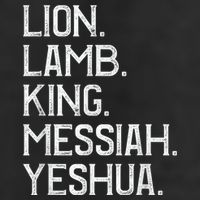 Distressed Lion Lamb King Messiah Yeshua Christian Bible Beanie
