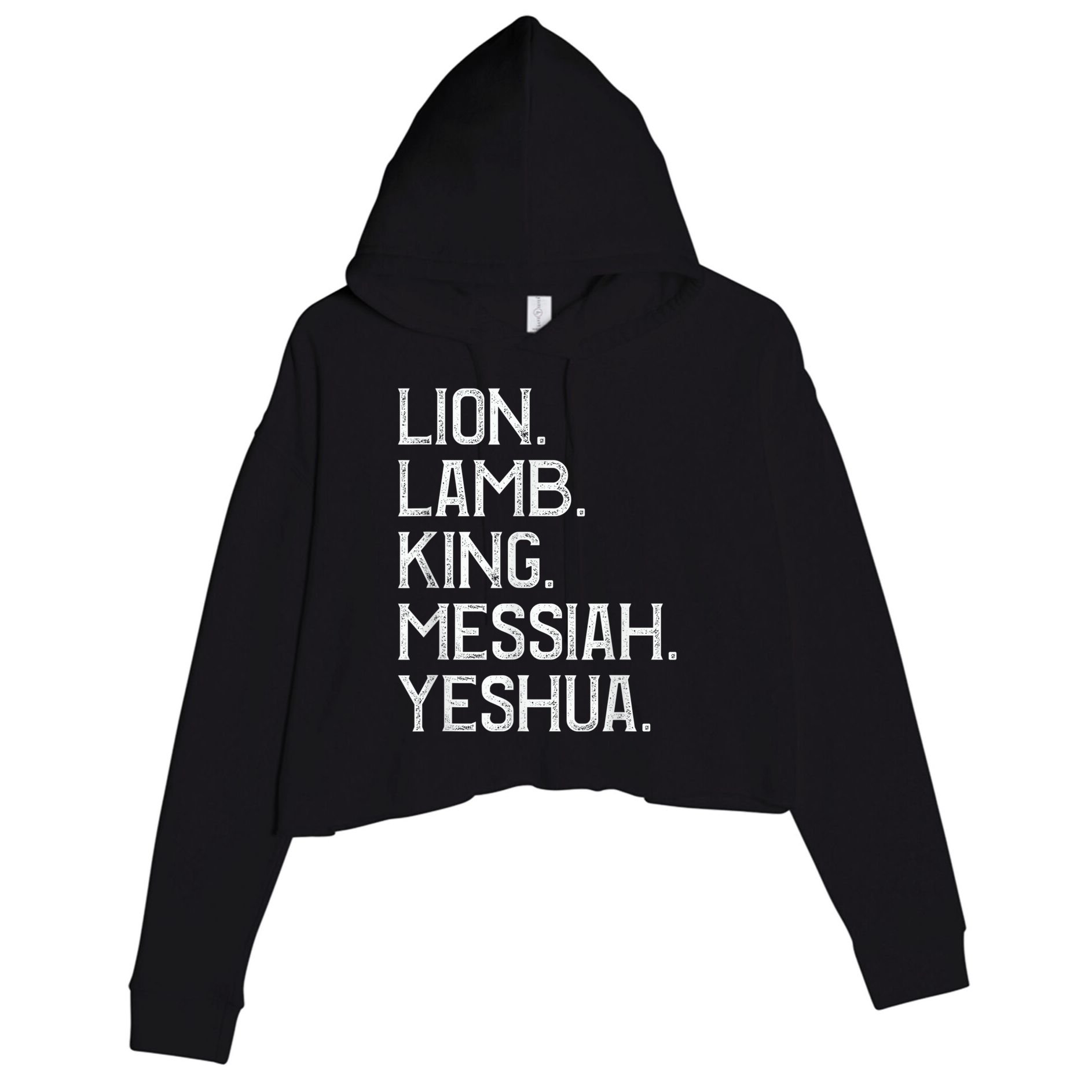 Distressed Lion Lamb King Messiah Yeshua Christian Bible Crop Fleece Hoodie
