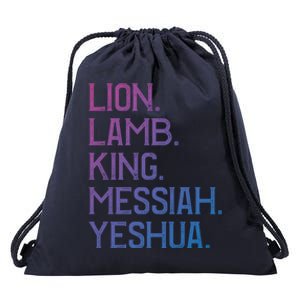 Distressed Lion Lamb King Messiah Yeshua Christian Bible Gift Drawstring Bag