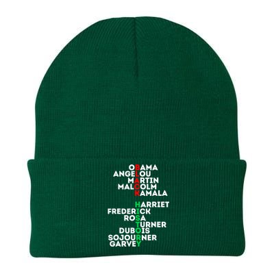 Dream Like Martin Lead Like Harriet Black History Month Funny Gift Knit Cap Winter Beanie