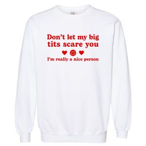 DonT Let My Big Tits Scare You IM Really A Nice Person Garment-Dyed Sweatshirt