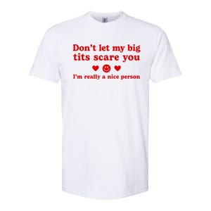 DonT Let My Big Tits Scare You IM Really A Nice Person Softstyle CVC T-Shirt