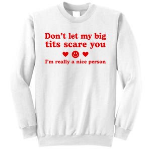 DonT Let My Big Tits Scare You IM Really A Nice Person Sweatshirt