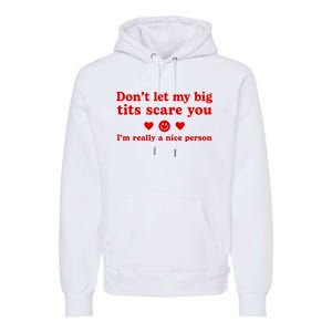 DonT Let My Big Tits Scare You IM Really A Nice Person Premium Hoodie