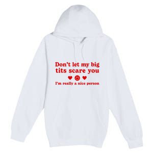 DonT Let My Big Tits Scare You IM Really A Nice Person Premium Pullover Hoodie