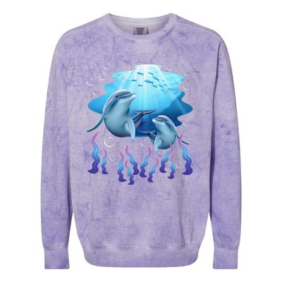 Dolphin Lover Ocean Zoology Zookeeper Marine Biologist Colorblast Crewneck Sweatshirt