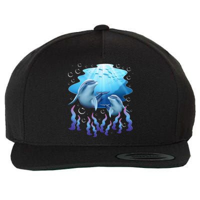 Dolphin Lover Ocean Zoology Zookeeper Marine Biologist Wool Snapback Cap