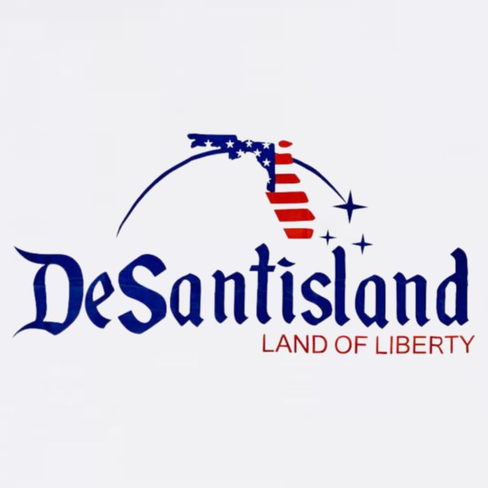 Desantisland Land Of Liberty Florida American Flag Womens T-Shirt
