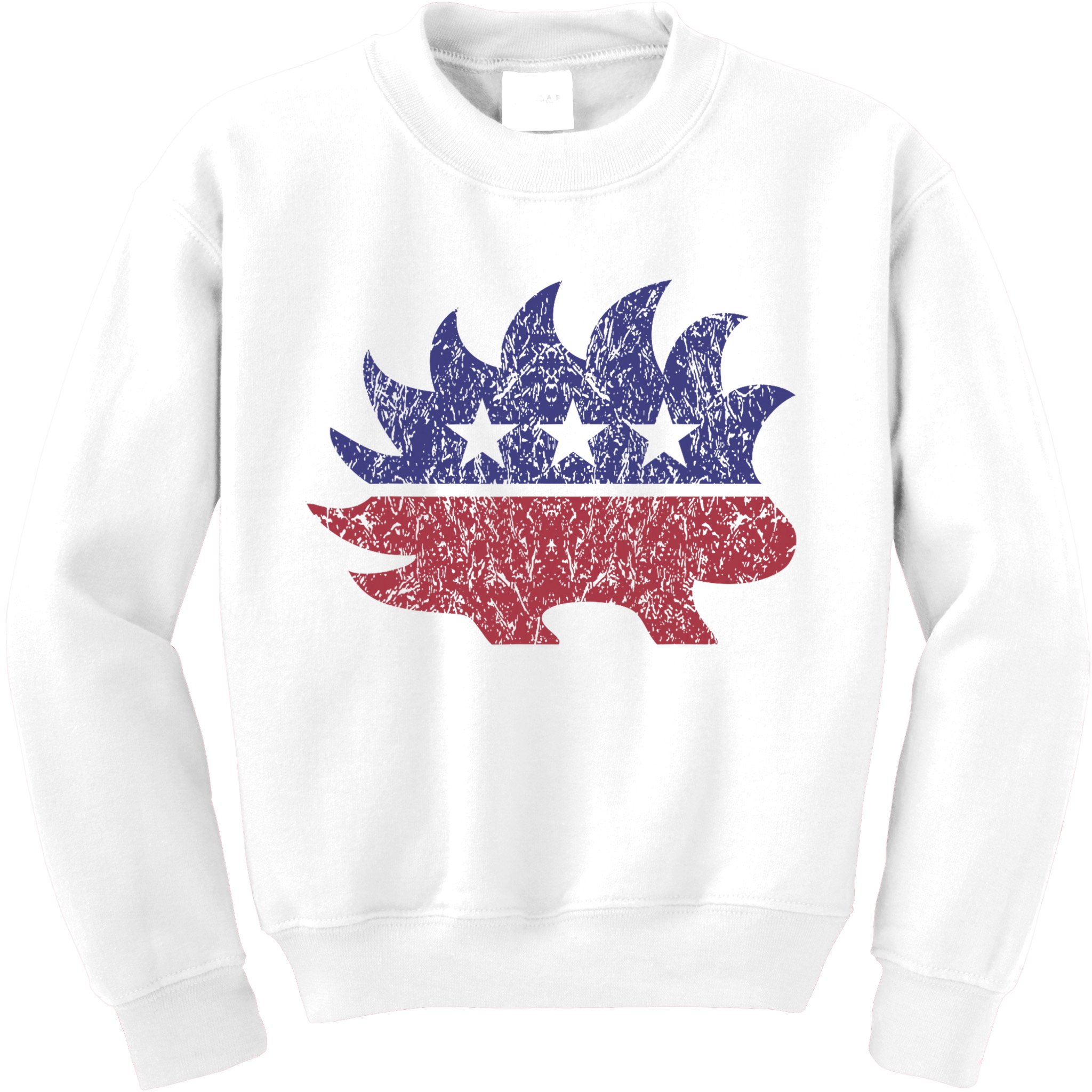 Distressed Libertarian Porcupine Cool Stylized Freedom Kids Sweatshirt