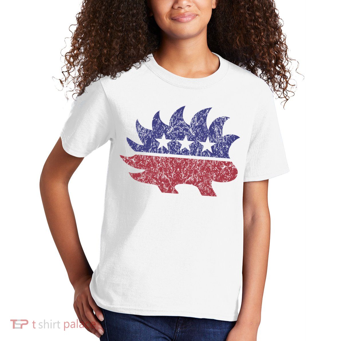 Distressed Libertarian Porcupine Cool Stylized Freedom Kids T-Shirt