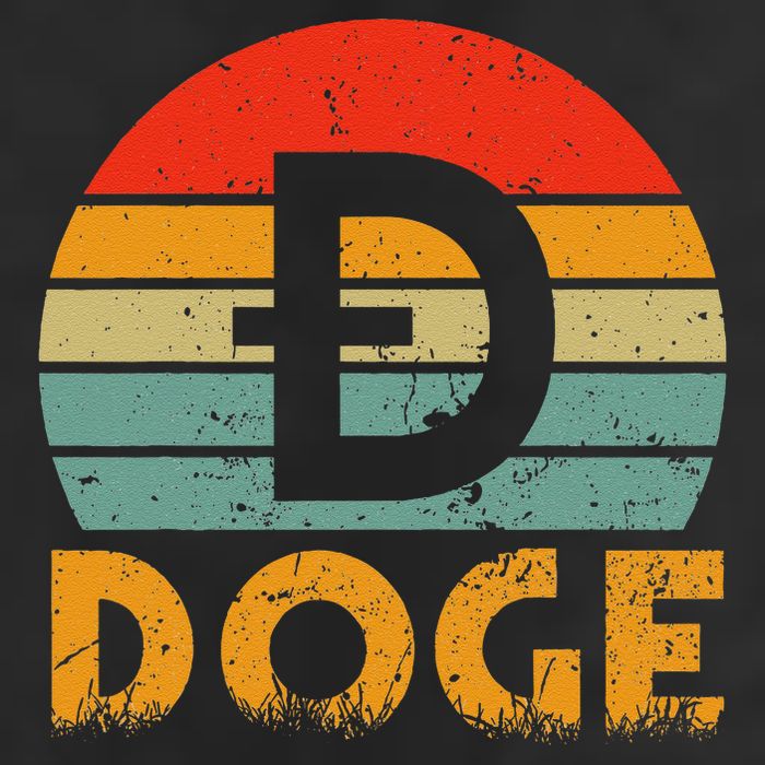 Dogecoin Logo Retro Vintage Dogecoin Hodler Trader Beanie