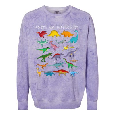 Dinosaur Lover Types Of Dinosaurs Different Dinosaurs Colorblast Crewneck Sweatshirt