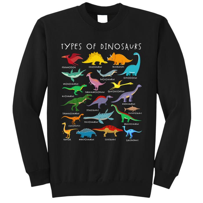 Dinosaur Lover Types Of Dinosaurs Different Dinosaurs Sweatshirt