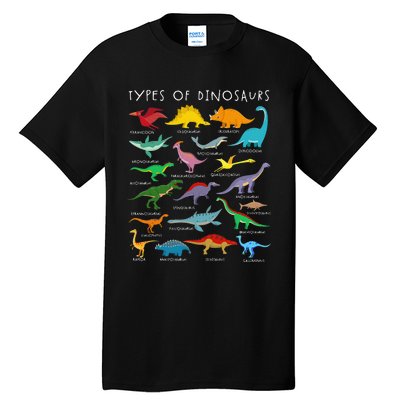 Dinosaur Lover Types Of Dinosaurs Different Dinosaurs Tall T-Shirt