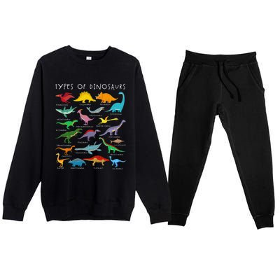 Dinosaur Lover Types Of Dinosaurs Different Dinosaurs Premium Crewneck Sweatsuit Set