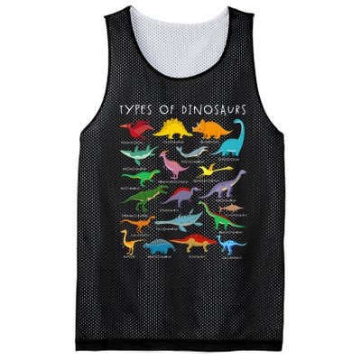 Dinosaur Lover Types Of Dinosaurs Different Dinosaurs Mesh Reversible Basketball Jersey Tank