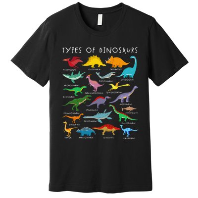 Dinosaur Lover Types Of Dinosaurs Different Dinosaurs Premium T-Shirt