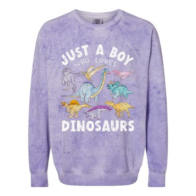 Dinosaur Lover Tee Dinosaur Tee Dino Colorblast Crewneck Sweatshirt