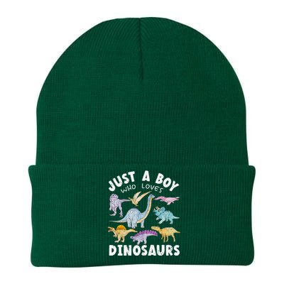 Dinosaur Lover Tee Dinosaur Tee Dino Knit Cap Winter Beanie