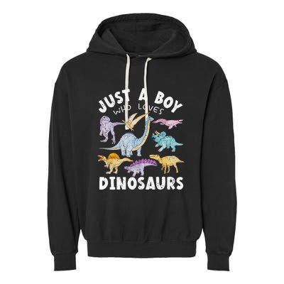 Dinosaur Lover Tee Dinosaur Tee Dino Garment-Dyed Fleece Hoodie