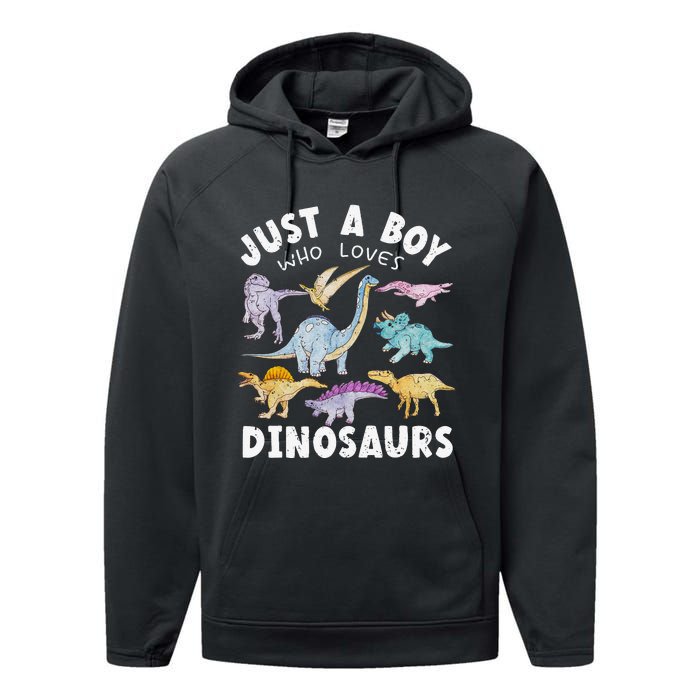 Dinosaur Lover Tee Dinosaur Tee Dino Performance Fleece Hoodie