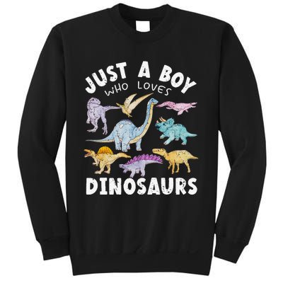 Dinosaur Lover Tee Dinosaur Tee Dino Sweatshirt