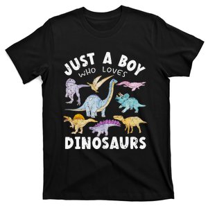 Dinosaur Lover Tee Dinosaur Tee Dino T-Shirt